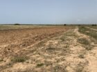 Affordable Plots at Akwaaba Park – Prampram